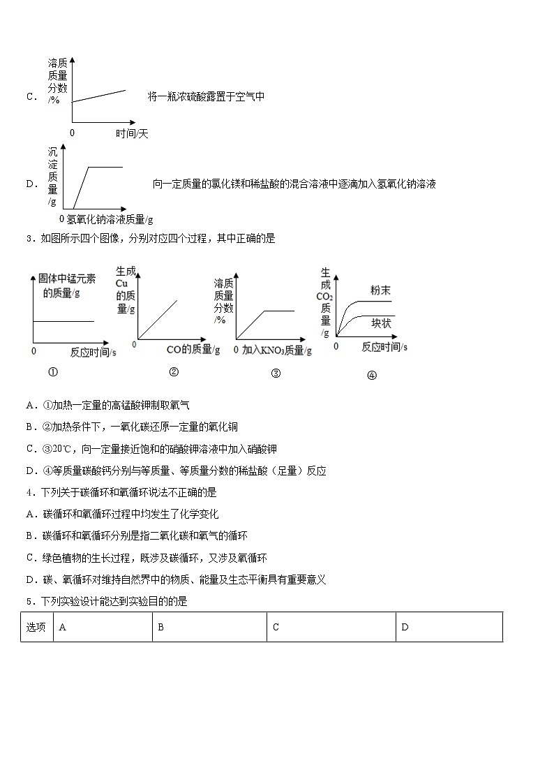 2023-2024学年江苏省无锡市江阴市南闸实验学校化学九年级第一学期期末学业质量监测试题含答案02