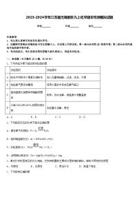 2023-2024学年江苏省无锡新区九上化学期末检测模拟试题含答案