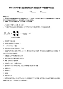 2023-2024学年江苏省无锡新吴区九年级化学第一学期期末考试试题含答案