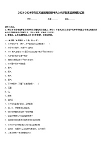 2023-2024学年江苏省滨海县联考九上化学期末监测模拟试题含答案