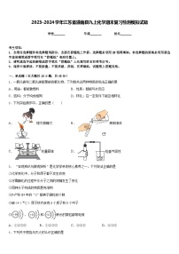 2023-2024学年江苏省灌南县九上化学期末复习检测模拟试题含答案