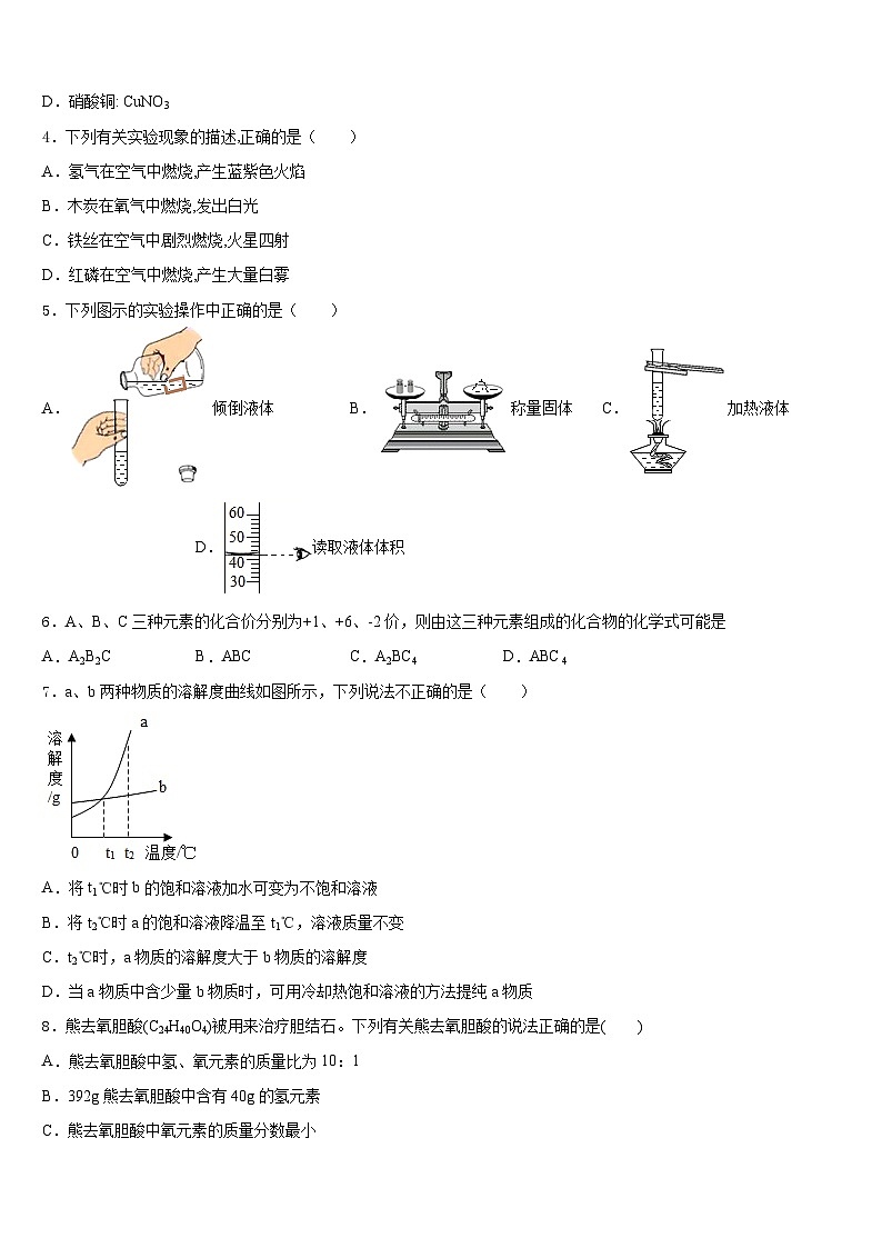 2023-2024学年江苏省灌云县化学九年级第一学期期末学业质量监测试题含答案第2页