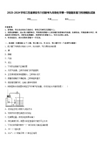 2023-2024学年江苏省淮安市八校联考九年级化学第一学期期末复习检测模拟试题含答案