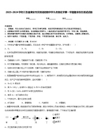 2023-2024学年江苏省淮安市洪泽湖初级中学九年级化学第一学期期末综合测试试题含答案