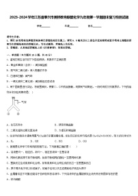 2023-2024学年江苏省泰兴市黄桥教育联盟化学九年级第一学期期末复习检测试题含答案