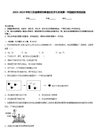 2023-2024学年江苏省泰州市姜堰区化学九年级第一学期期末预测试题含答案