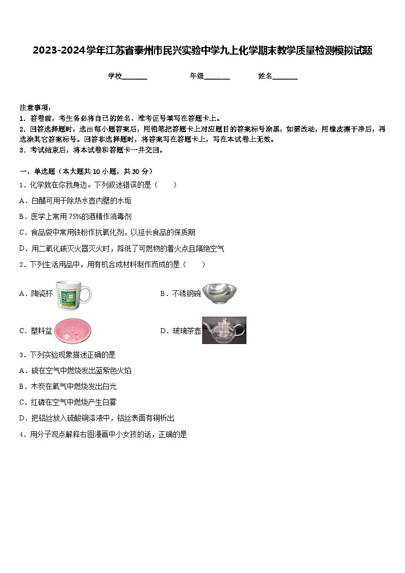 2023-2024学年江苏省泰州市民兴实验中学九上化学期末教学质量检测模拟试题含答案01