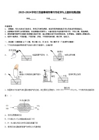 2023-2024学年江苏省泰州市泰兴市化学九上期末经典试题含答案