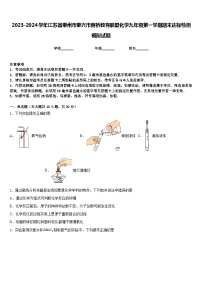 2023-2024学年江苏省泰州市泰兴市黄桥教育联盟化学九年级第一学期期末达标检测模拟试题含答案