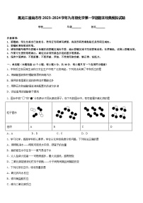 黑龙江省尚志市2023-2024学年九年级化学第一学期期末经典模拟试题含答案