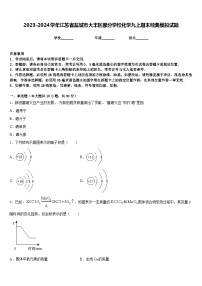 2023-2024学年江苏省盐城市大丰区部分学校化学九上期末经典模拟试题含答案