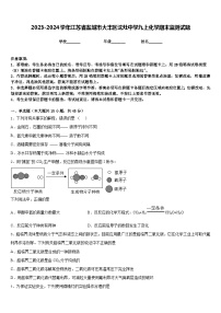 2023-2024学年江苏省盐城市大丰区沈灶中学九上化学期末监测试题含答案