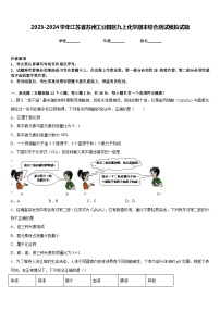 2023-2024学年江苏省苏州工业园区九上化学期末综合测试模拟试题含答案