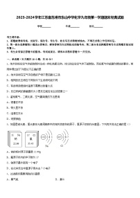 2023-2024学年江苏省苏州市东山中学化学九年级第一学期期末经典试题含答案