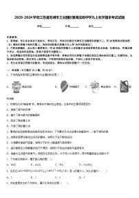 2023-2024学年江苏省苏州市工业园区星海实验中学九上化学期末考试试题含答案