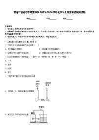 黑龙江省尚志市希望中学2023-2024学年化学九上期末考试模拟试题含答案