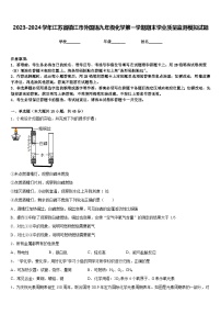 2023-2024学年江苏省镇江市外国语九年级化学第一学期期末学业质量监测模拟试题含答案