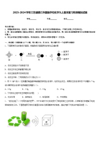 2023-2024学年江苏省镇江外国语学校化学九上期末复习检测模拟试题含答案