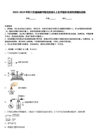 2023-2024学年江苏省高邮市阳光双语九上化学期末质量检测模拟试题含答案