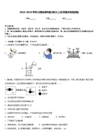 2023-2024学年江西抚州市临川区九上化学期末预测试题含答案