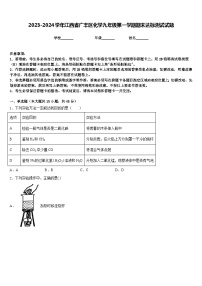 2023-2024学年江西省广丰区化学九年级第一学期期末达标测试试题含答案