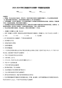 2023-2024学年江西省化学九年级第一学期期末监测试题含答案