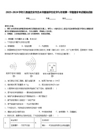 2023-2024学年江西省吉安市吉水外国语学校化学九年级第一学期期末考试模拟试题含答案