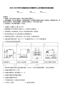 2023-2024学年江西省吉安永丰县联考九上化学期末综合测试试题含答案