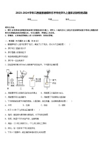 2023-2024学年江西省景德镇市乐平市化学九上期末达标检测试题含答案