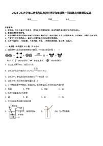 2023-2024学年江西省九江市名校化学九年级第一学期期末经典模拟试题含答案