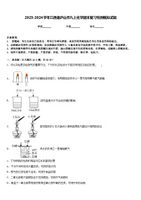 2023-2024学年江西省庐山市九上化学期末复习检测模拟试题含答案