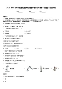 2023-2024学年江西省南昌石埠初级中学化学九年级第一学期期末预测试题含答案