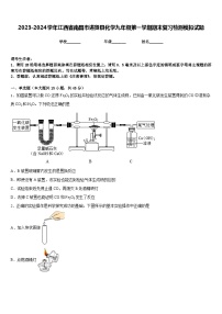 2023-2024学年江西省南昌市进贤县化学九年级第一学期期末复习检测模拟试题含答案