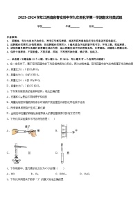 2023-2024学年江西省宜春实验中学九年级化学第一学期期末经典试题含答案