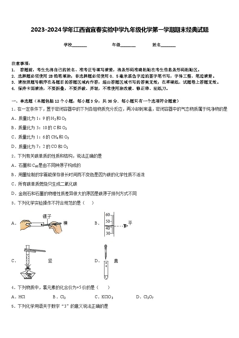 2023-2024学年江西省宜春实验中学九年级化学第一学期期末经典试题含答案第1页