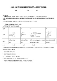 2023-2024学年江西省上饶中学化学九上期末复习检测试题含答案