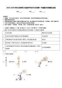 2023-2024学年江西师范大附属中学化学九年级第一学期期末经典模拟试题含答案