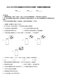 2023-2024学年江西省新余九中学化学九年级第一学期期末经典模拟试题含答案