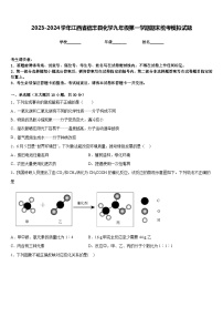 2023-2024学年江西省信丰县化学九年级第一学期期末统考模拟试题含答案