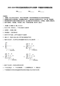 2023-2024学年河北保定竞秀区化学九年级第一学期期末经典模拟试题含答案