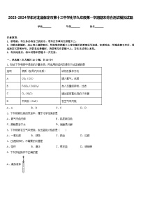 2023-2024学年河北省保定市第十三中学化学九年级第一学期期末综合测试模拟试题含答案