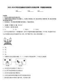 2023-2024学年河北省保定市定州市九年级化学第一学期期末调研试题含答案