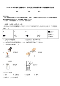 2023-2024学年河北省保定市二中学分校九年级化学第一学期期末考试试题含答案