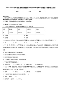 2023-2024学年河北省保定市回民中学化学九年级第一学期期末达标测试试题含答案