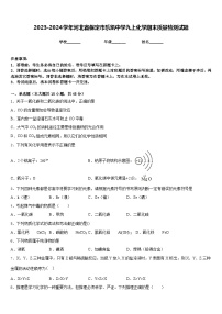 2023-2024学年河北省保定市乐凯中学九上化学期末质量检测试题含答案