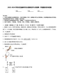 2023-2024学年河北省廊坊市永清县化学九年级第一学期期末统考试题含答案