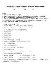 2023-2024学年河北省廊坊市文安县化学九年级第一学期期末调研试题含答案