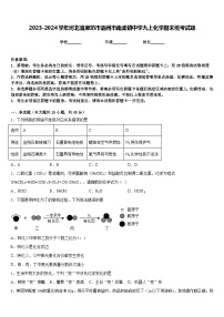 2023-2024学年河北省廊坊市霸州市南孟镇中学九上化学期末统考试题含答案