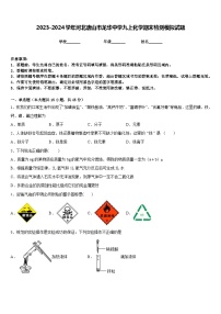 2023-2024学年河北唐山市龙华中学九上化学期末检测模拟试题含答案