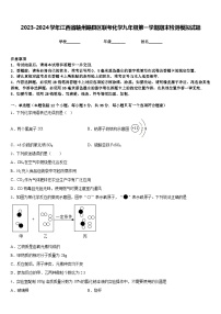 2023-2024学年江西省赣州赣县区联考化学九年级第一学期期末检测模拟试题含答案